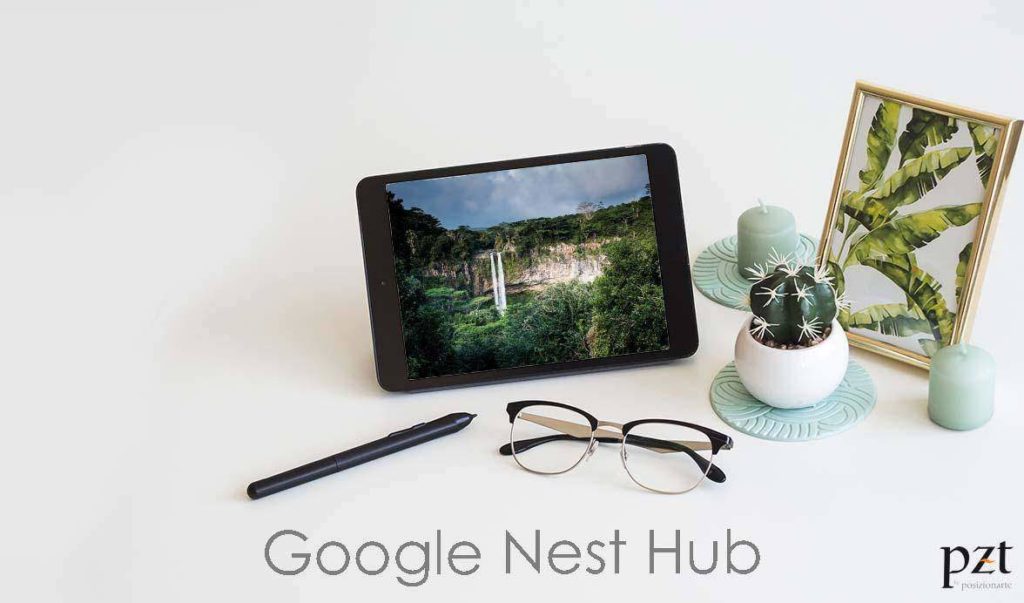 agencia seo-pzt-google nest hub