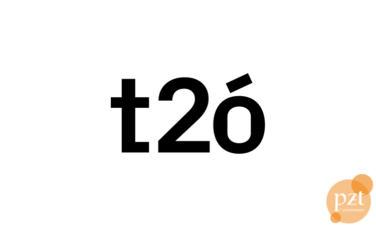 T2ó-posicionamiento-SEM-PZT